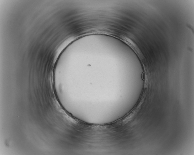 X0000103170812200809051720