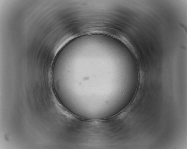 X0000103170814200809051720