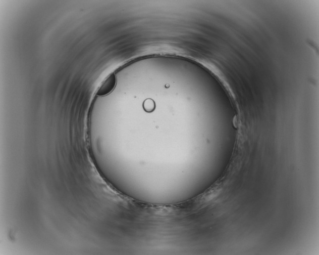 X0000103170815200809051720