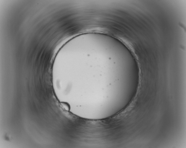 X0000103170816200809051720