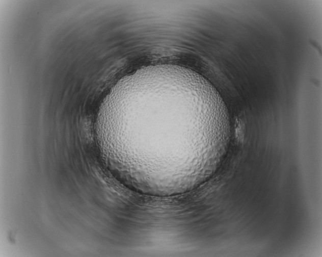 X0000103170819200809051720