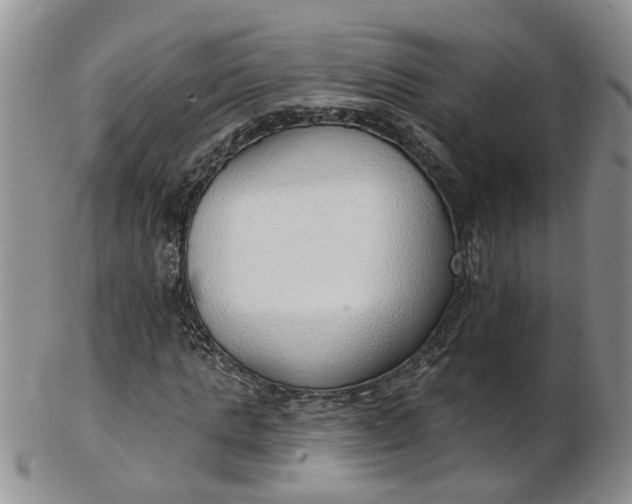 X0000103170821200809051720