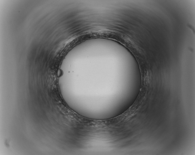 X0000103170822200809051720