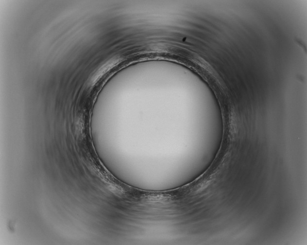 X0000103170826200809051720