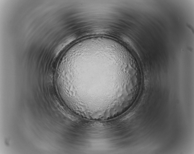 X0000103170827200809051720