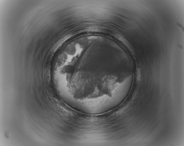 X0000103170829200809051720