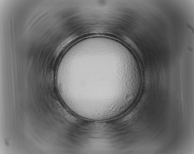 X0000103170831200809051720