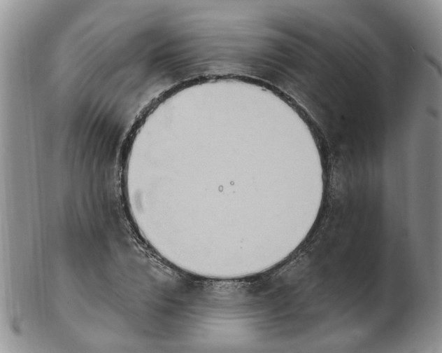 X0000103170832200809051720