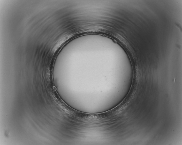 X0000103170834200809051720