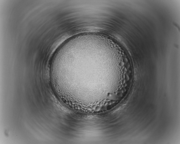 X0000103170835200809051720