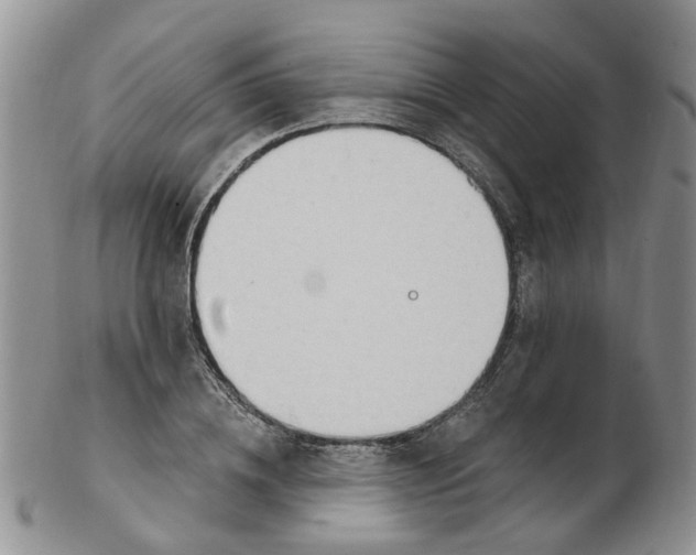 X0000103170836200809051720