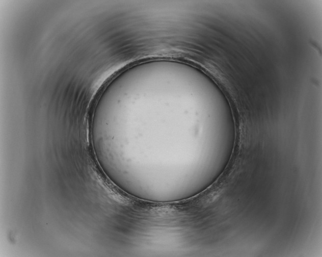 X0000103170838200809051720