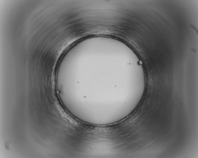 X0000103170840200809051720