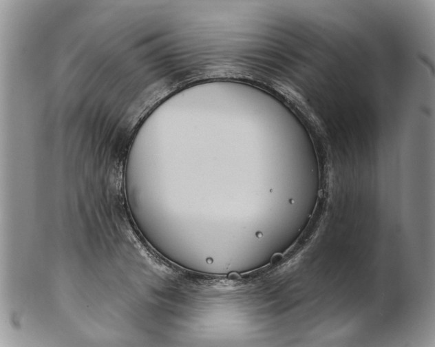 X0000103170841200809051720