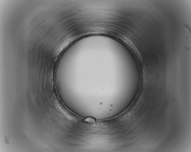 X0000103170842200809051720