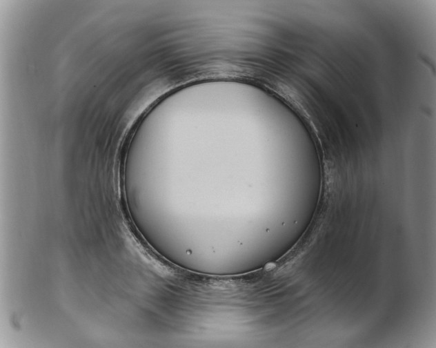 X0000103170843200809051720