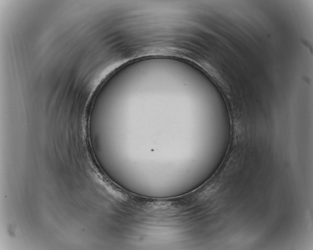 X0000103170846200809051720