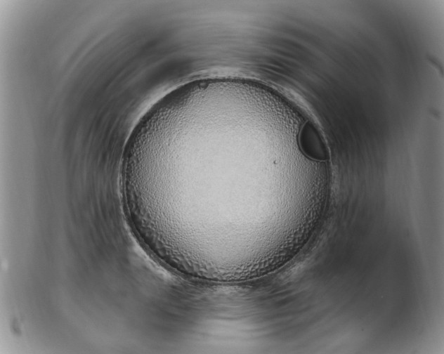 X0000103170847200809051720