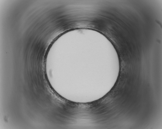 X0000103170848200809051720