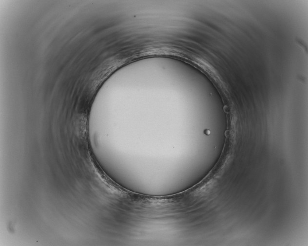 X0000103170849200809051720