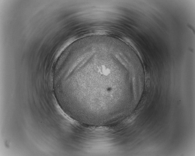 X0000103170851200809051720