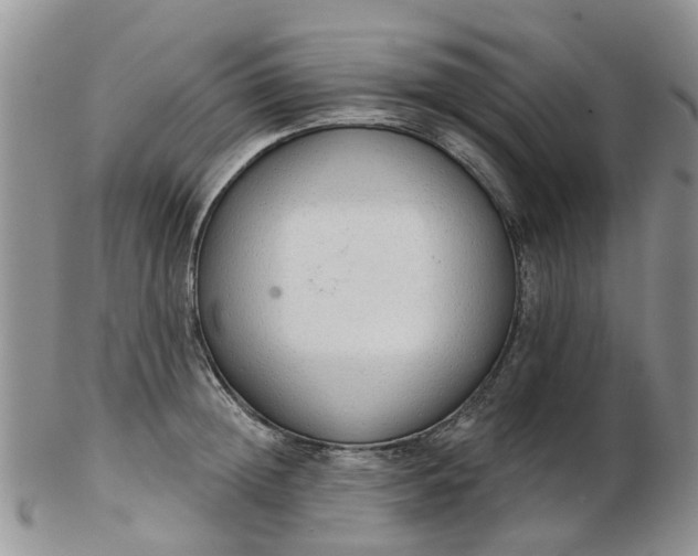 X0000103170852200809051720