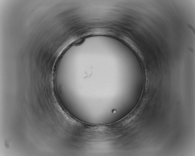 X0000103170853200809051720