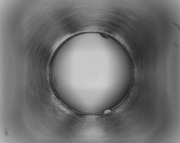 X0000103170854200809051720