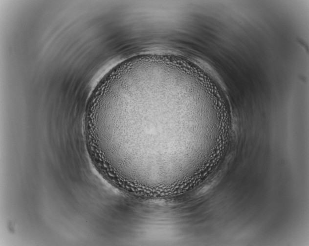 X0000103170855200809051720