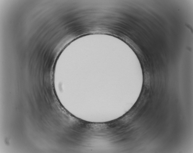 X0000103170856200809051720