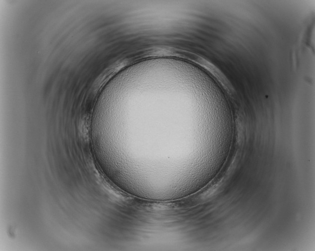 X0000103170857200809051720