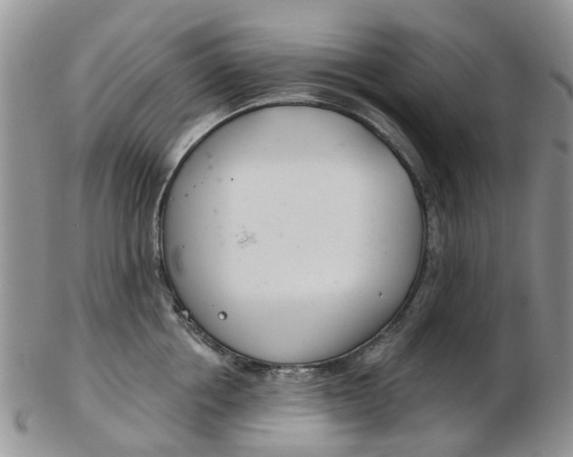 X0000103170858200809051720