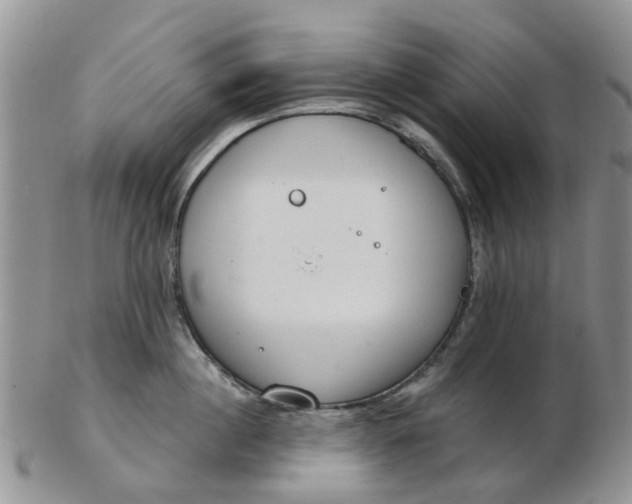 X0000103170860200809051720