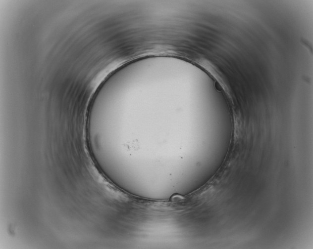 X0000103170861200809051720