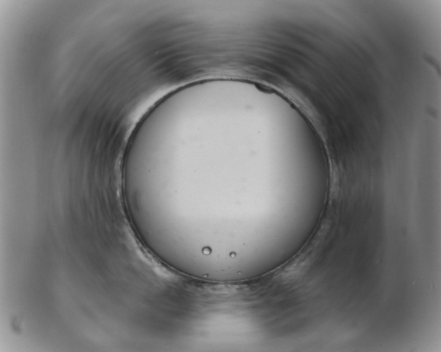 X0000103170862200809051720