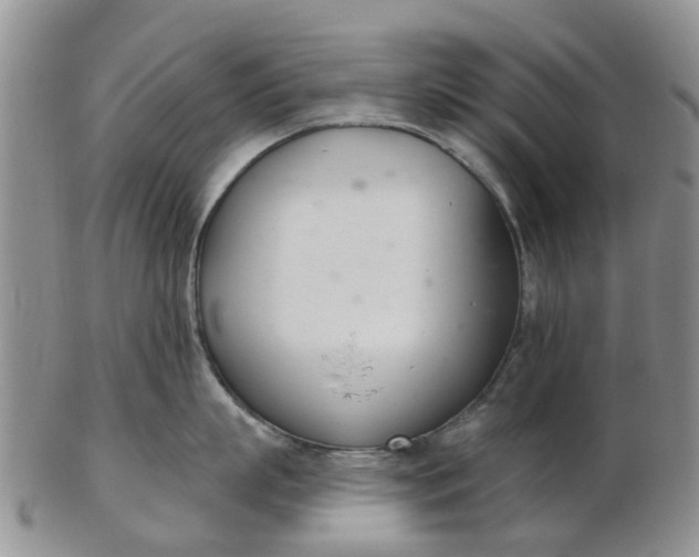 X0000103170863200809051720