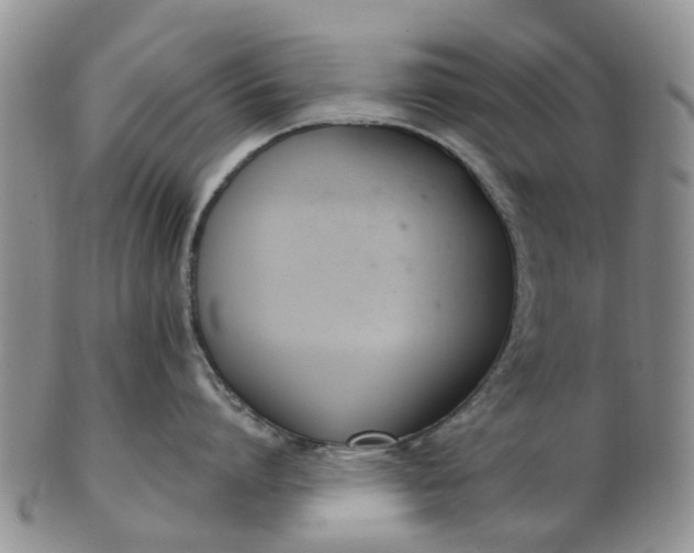 X0000103170864200809051720