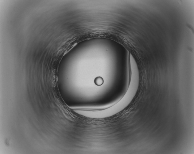 X0000103170868200809051720