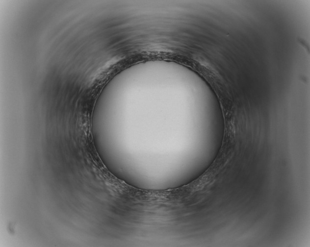 X0000103170870200809051719