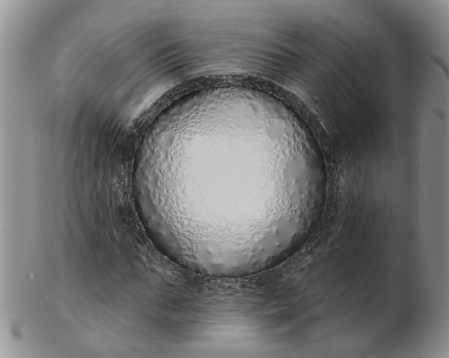 X0000103170871200809051719