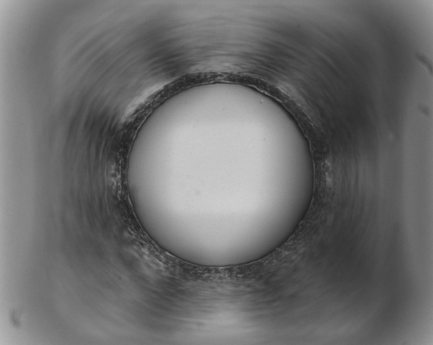 X0000103170872200809051719