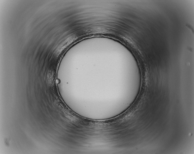 X0000103170873200809051719