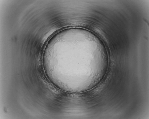 X0000103170875200809051719