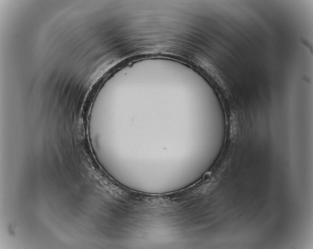 X0000103170876200809051719