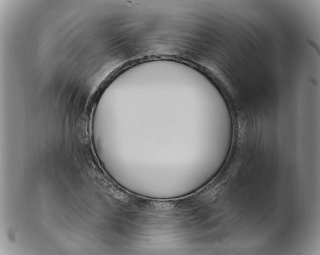 X0000103170878200809051719