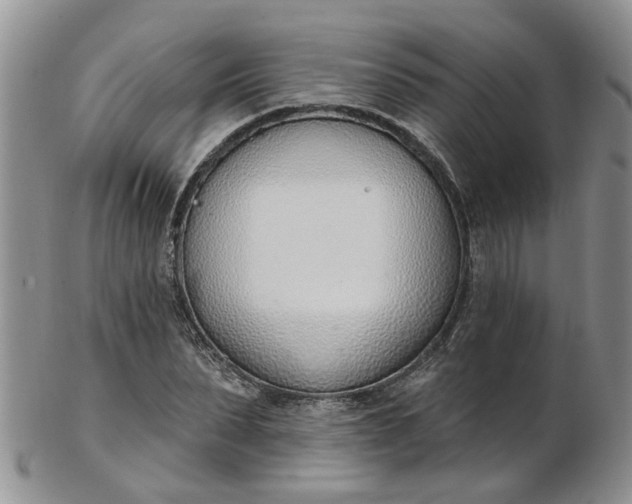 X0000103170879200809051719