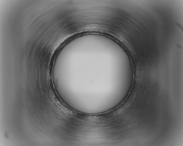 X0000103170880200809051719