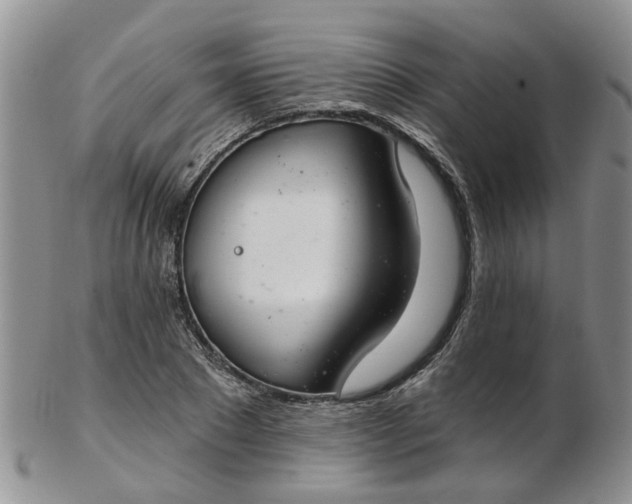 X0000103170881200809051719