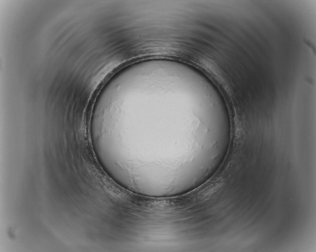 X0000103170883200809051719