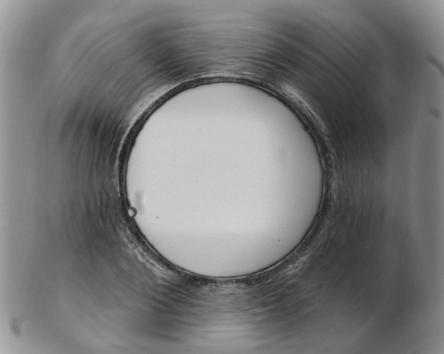 X0000103170884200809051719